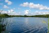 Scenic view of Everglades National Park showing calm blue water surrounded by marsh grasses and dense green wetlands under a bright sky with scattered clouds.