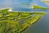 Aerial view of mangrove islands and winding tidal channels in a Florida coastal estuary