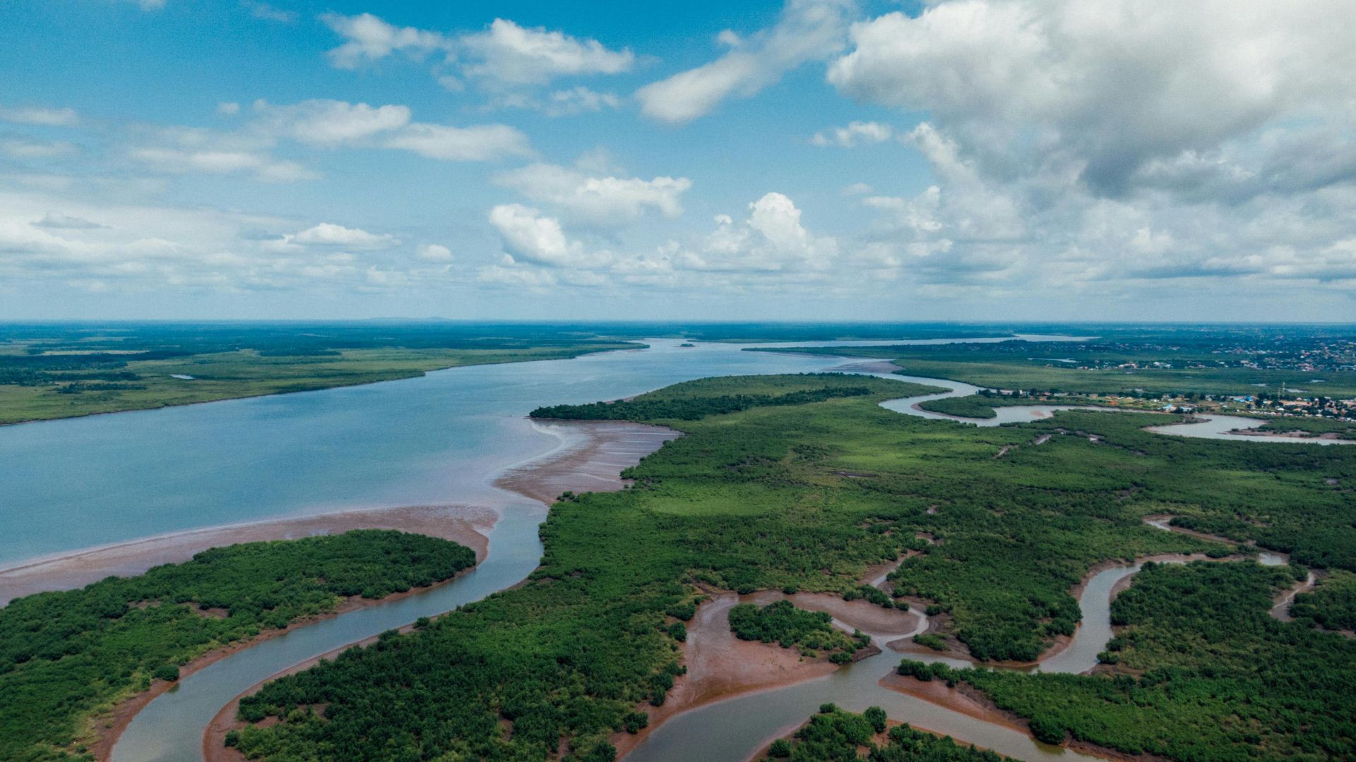 Aerial view of an estuarine ecosystem with winding tidal channels, mudflats, and dense green mangrove vegetation where a river meets the sea.