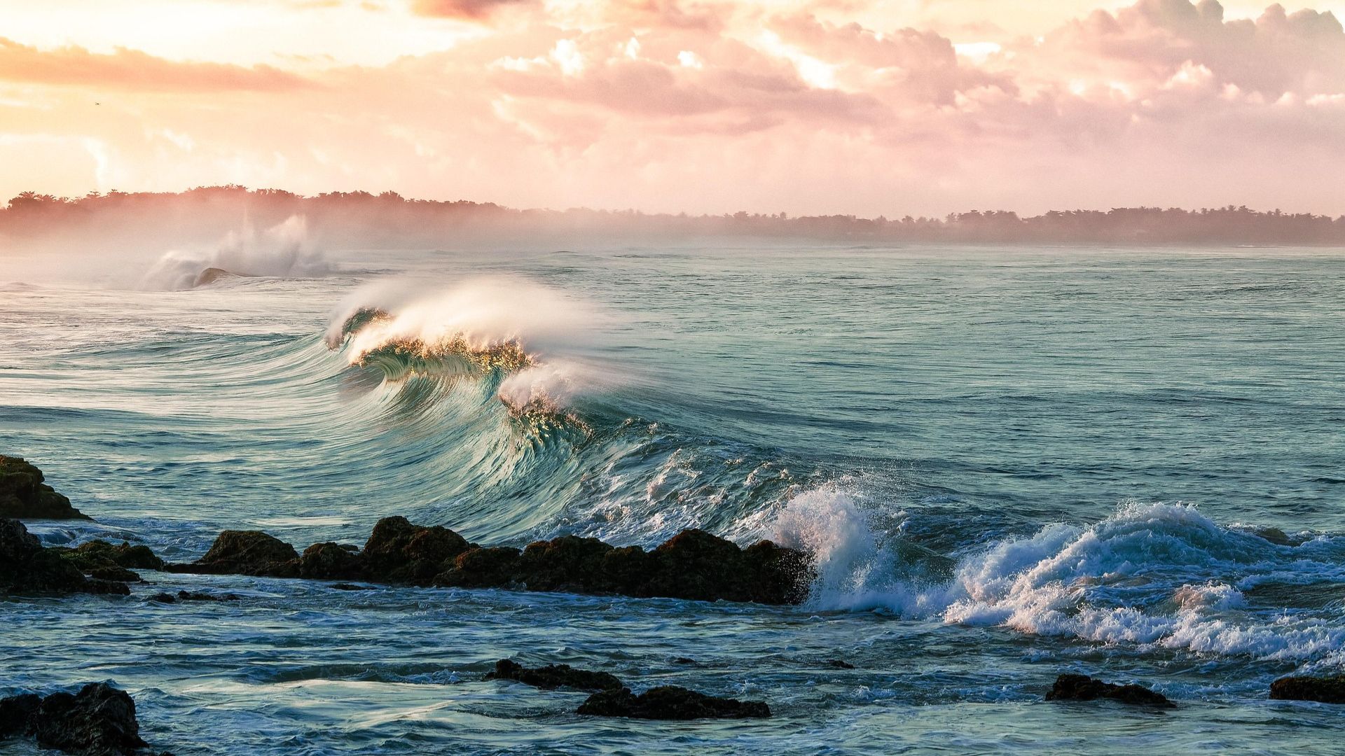 Open ocean habitat with rolling waves breaking over rocks, deep blue water, and a colorful sky at sunrise.