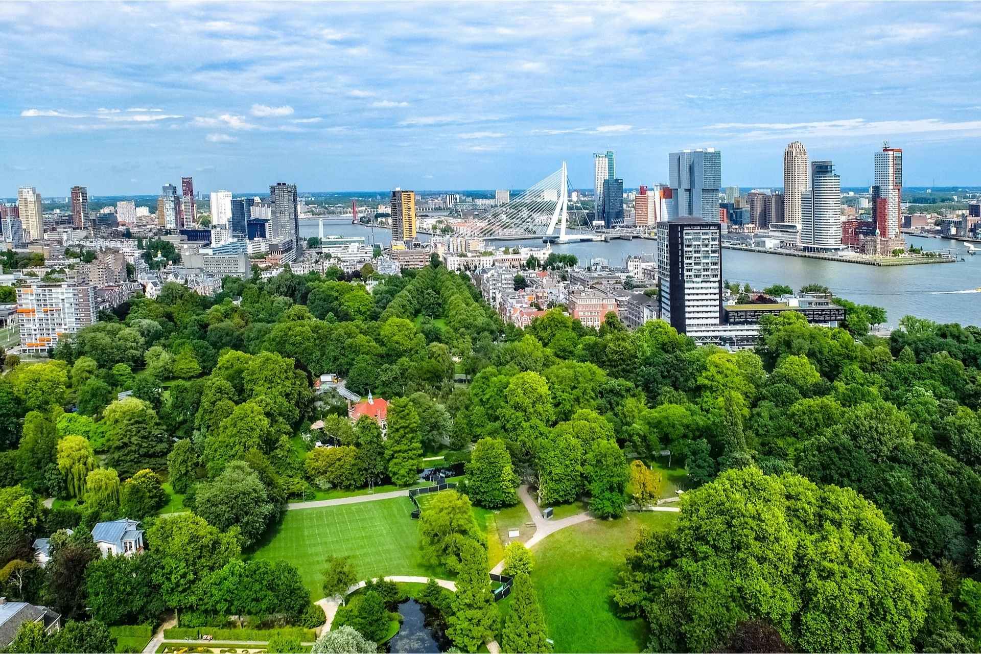 Urban habitat with city skyline, river, and green spaces supporting wildlife